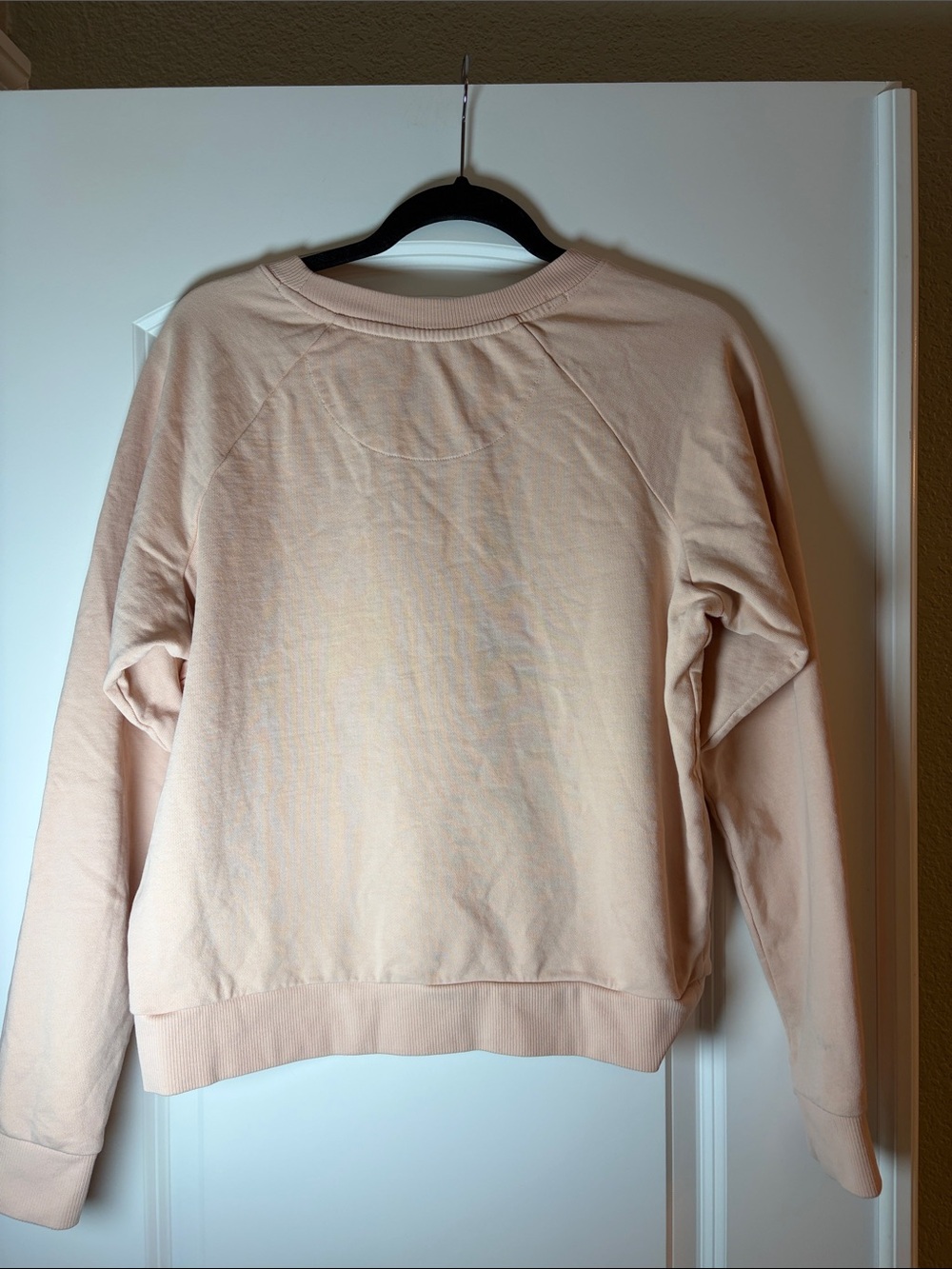 Patagonia Regenerative Organic Certified Cotton Light Peach Crewneck Sweatshirt - Picture 5 of 9